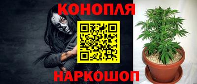 крисы Заводоуковск