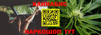 крисы Заводоуковск