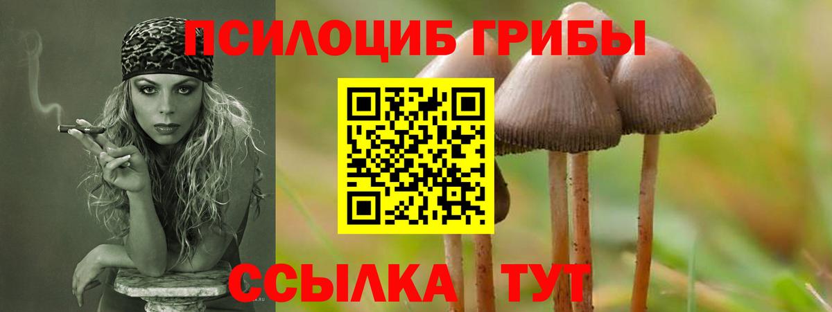 Галлюциногенные грибы прущие грибы Михайловка