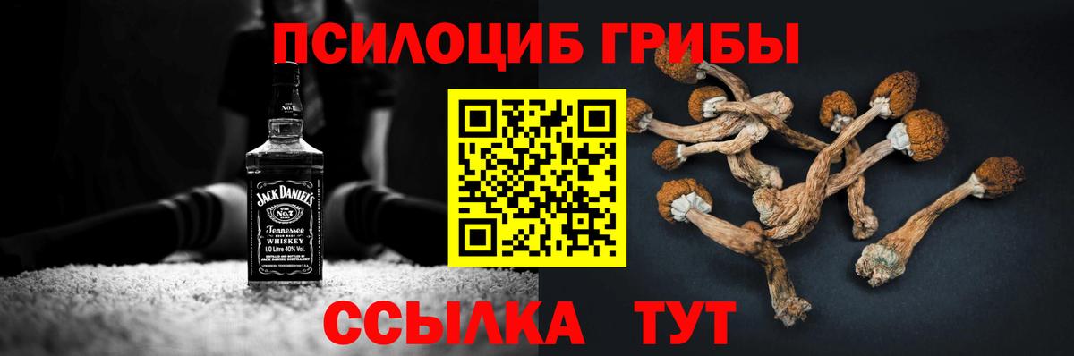 Галлюциногенные грибы Psilocybe  Галлюциногенные грибы ЛСД  Вход с VPN  Михайловка 