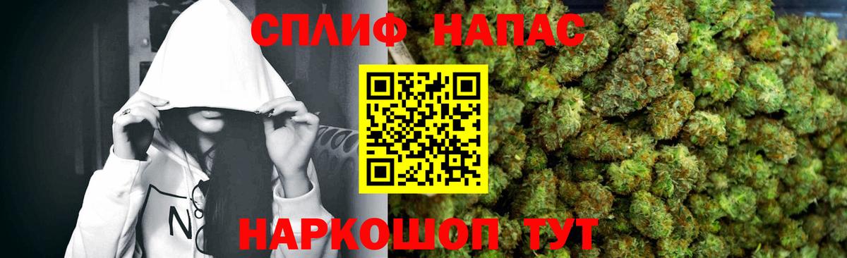 Каннабис конопля Михайловка